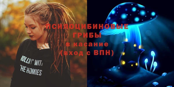 соль ск Туринск