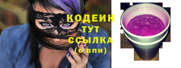 соль ск Туринск