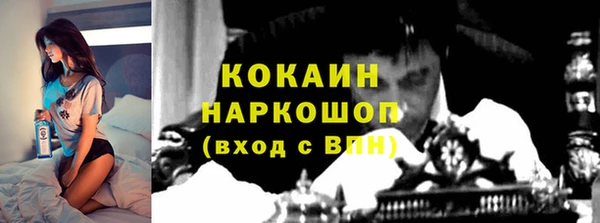 соль ск Туринск